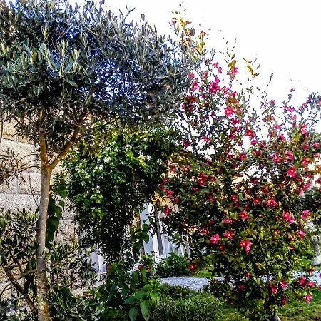 Bed & Breakfast Casa Vale Do Rio Ovil *