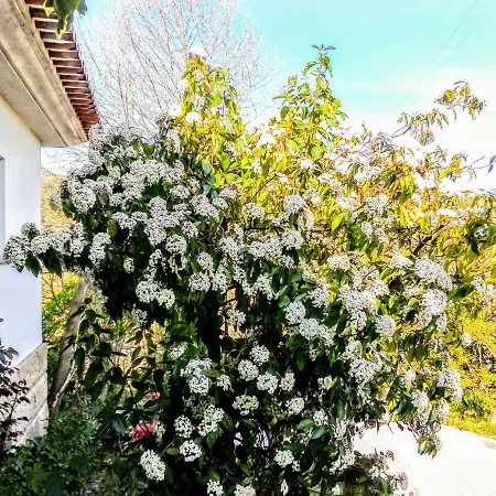 Casa Vale Do Rio Ovil 3*