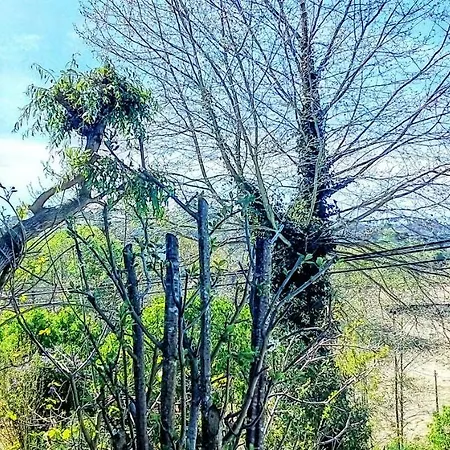 לינה וארוחת בוקר Casa Vale Do Rio Ovil *