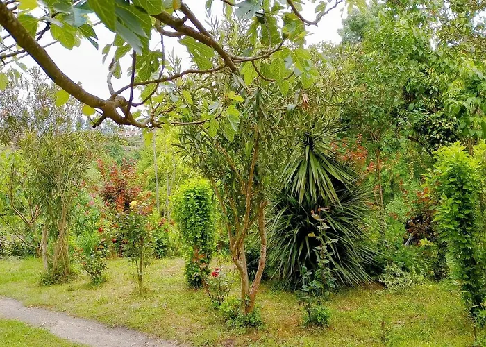 Casa Vale Do Rio Ovil Bed & Breakfast 3*