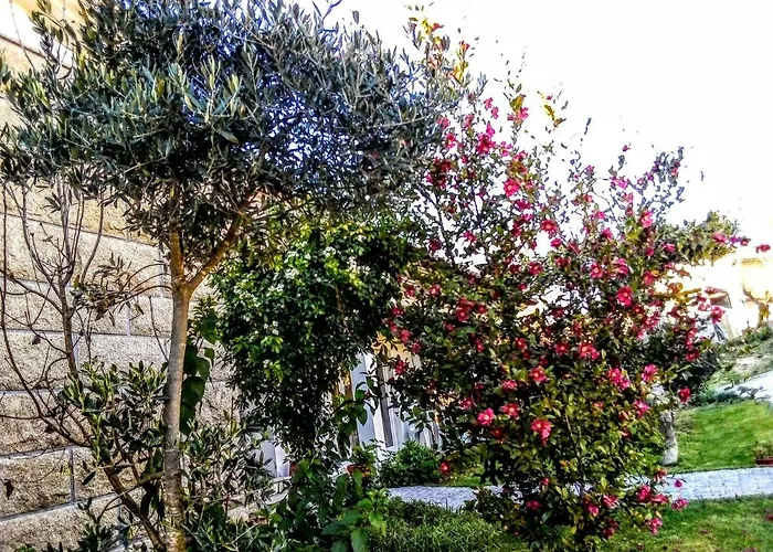 Bed & Breakfast Casa Vale Do Rio Ovil 3*