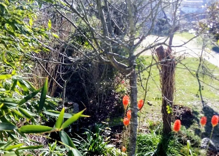 Casa Vale Do Rio Ovil