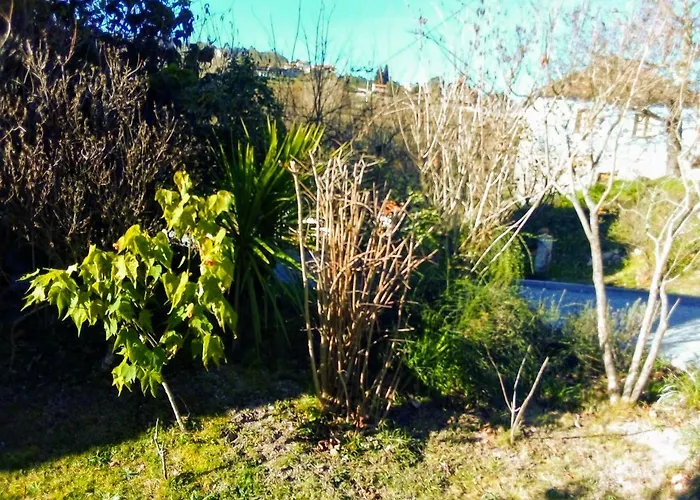 Casa Vale Do Rio Ovil Bed & Breakfast Baião