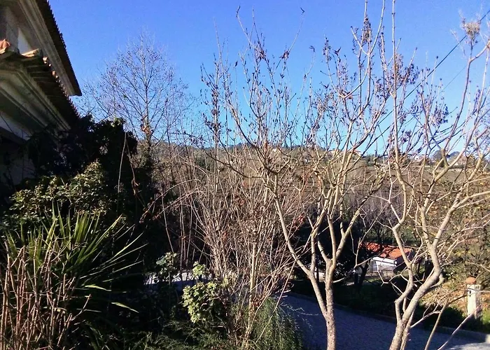 Casa Vale Do Rio Ovil Bed & Breakfast Baiao