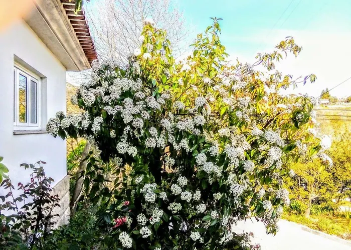 Casa Vale Do Rio Ovil 3*