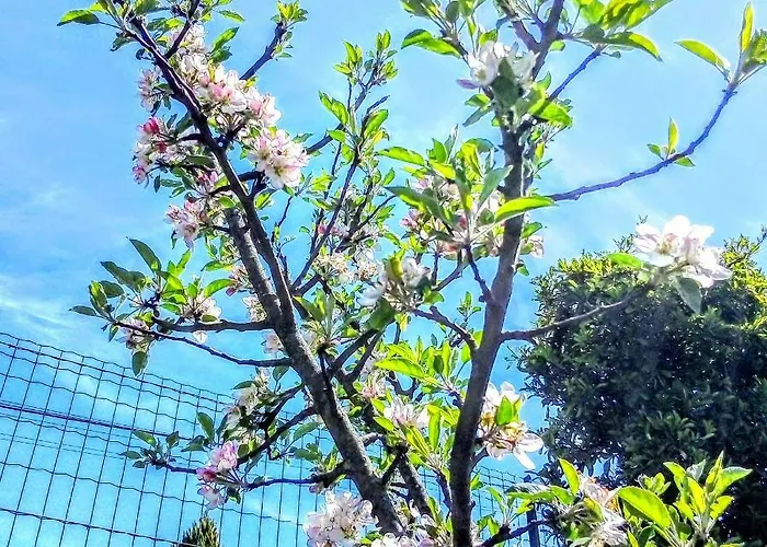 Bed & Breakfast Casa Vale Do Rio Ovil Baiao