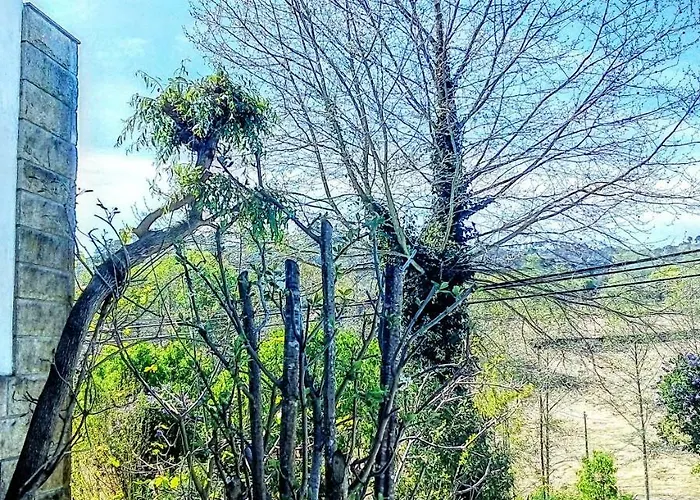 Bed & Breakfast Casa Vale Do Rio Ovil 3*