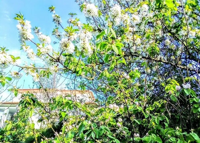 Casa Vale Do Rio Ovil 3* Baião