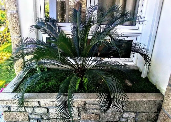 Bed & Breakfast Casa Vale Do Rio Ovil