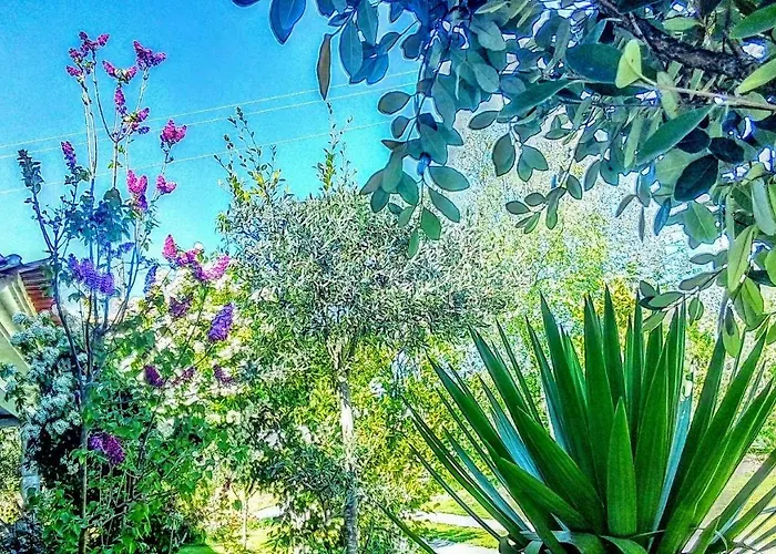 Casa Vale Do Rio Ovil Bed & Breakfast Baiao